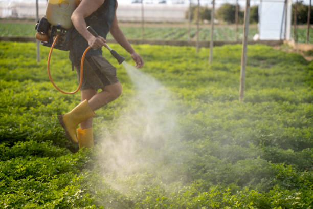 Best Pest Removal Services  in Happy Valley, OR