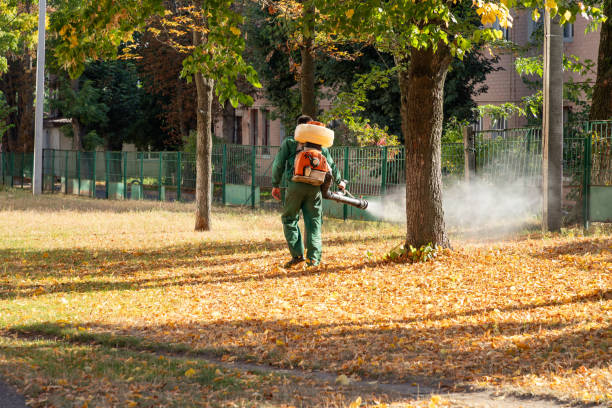 Best Cockroach Control Services  in Happy Valley, OR